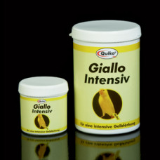 Quiko Giallo Intensiv 50 g