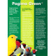 Pagima Green 750 g