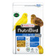 Nutribird Gold Patè Canarini Giallo Morbido 1 kg