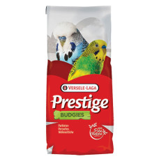 Cocorite Belgio - 20 kg